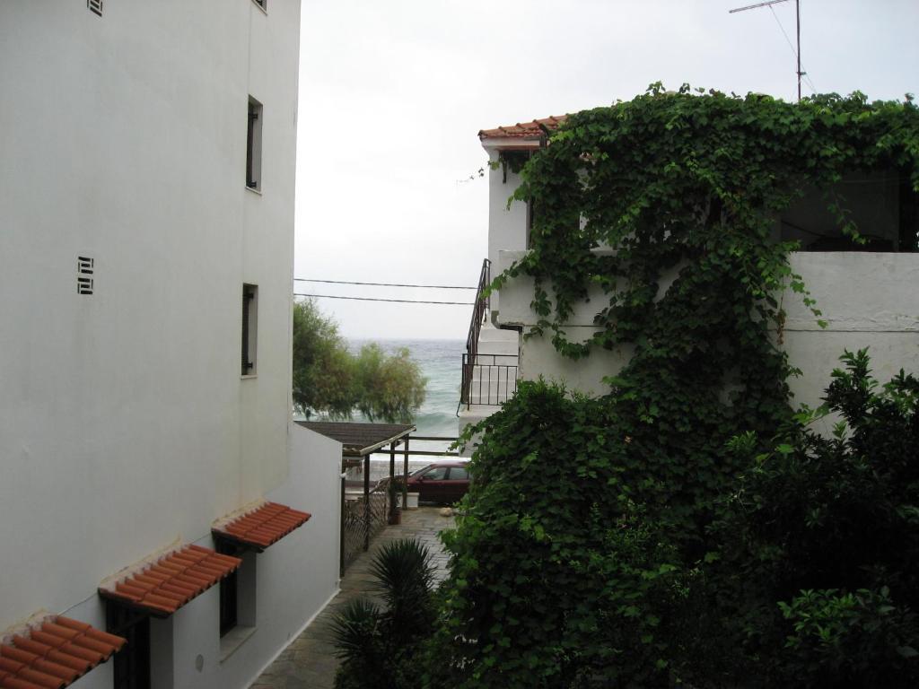 Hotel Maro Agios Ioannis  Bilik gambar